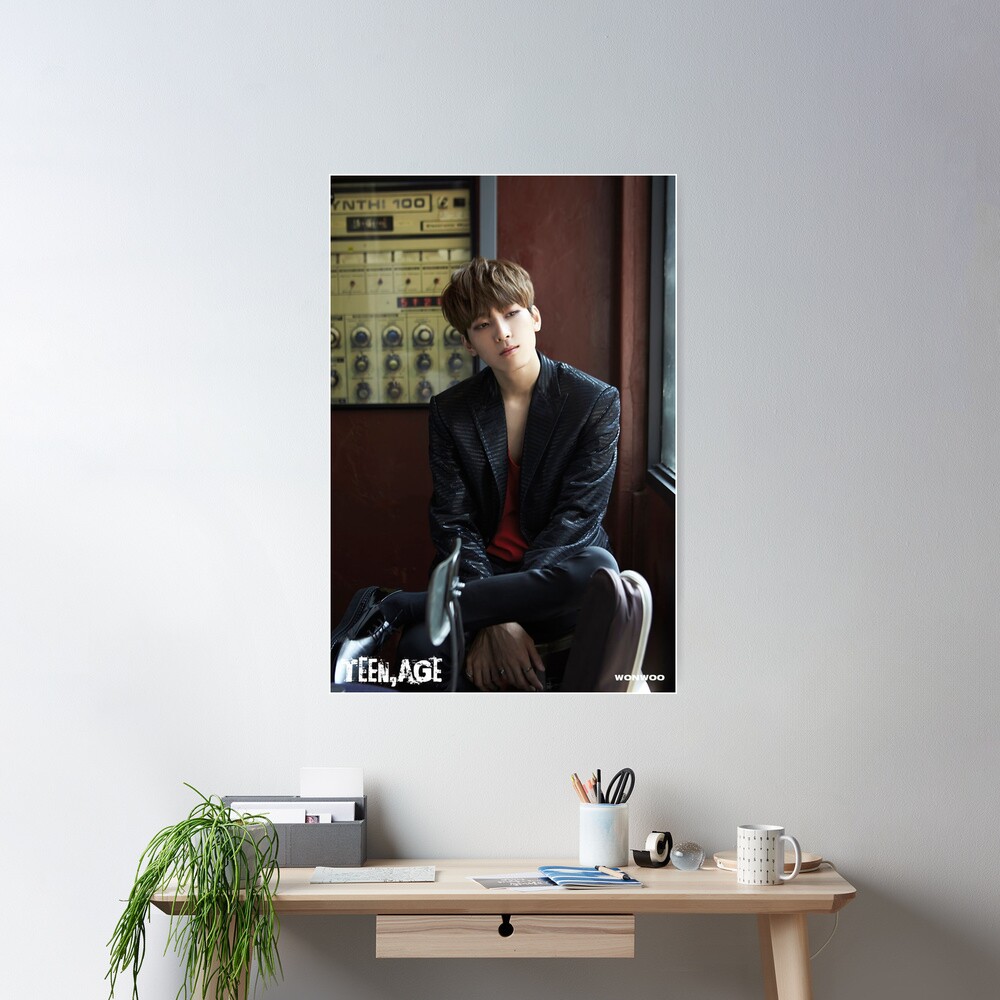 Wonwoo Seventeen Teen Age Poster - Image 2