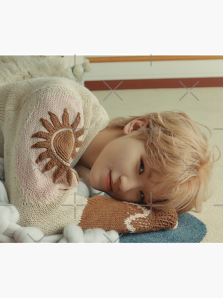 Seventeen Woozi Power Of Love Tapestry - Image 2