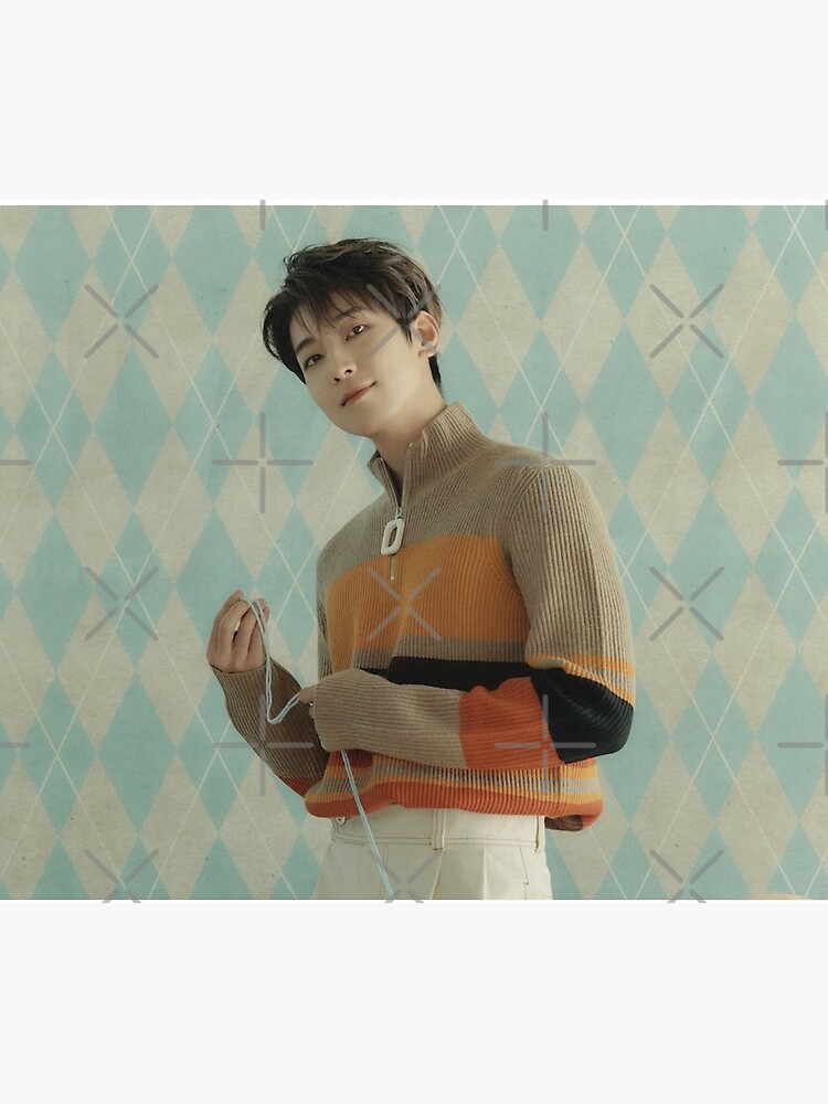 Seventeen Wonwoo Power Of Love Tapestry - Image 2