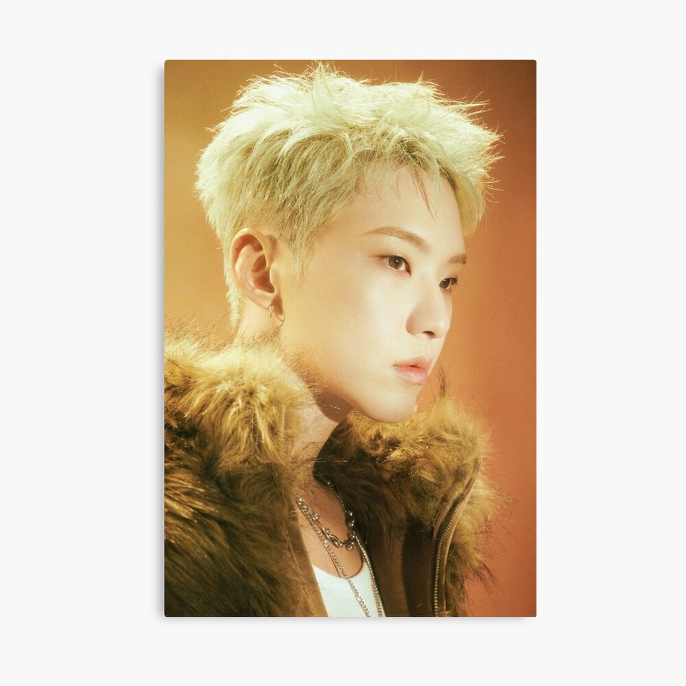Seventeenn Hoshi Poster