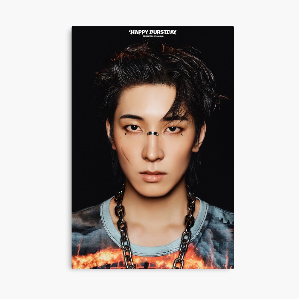Wonwoo Seventeenn Poster