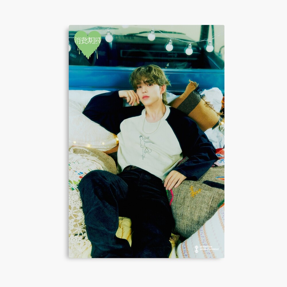 Scoups_seventeenn Poster