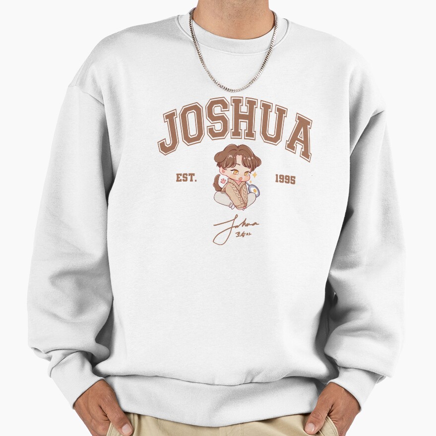 Joshua 1995 Seventeen Members Shirt Seventeen Member Shirt Seventeen World Tour 2022 Be The Sun Shirt Seventeen Tour Shirt Seventeen Unisex Shirt Sweatshirt