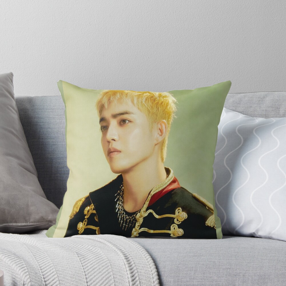 Seventeenn Scoup Throw Pillow